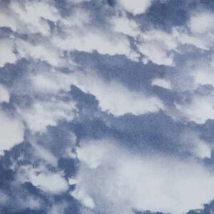 Tablecloth, Clouds Sheer