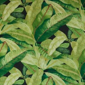 Tablecloth, Galapagos