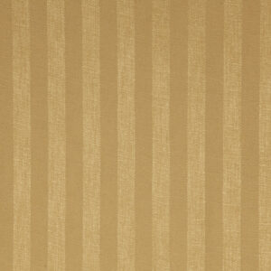 Napkin, Gold Essence Stripe