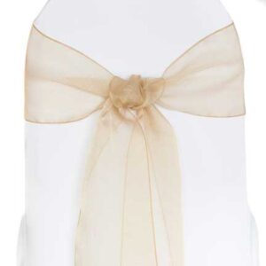 Sash, Gold Sparkle Sheer