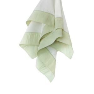 Napkin, Ivory with Keylime Taffeta Edge