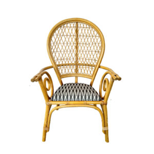 Furniture, Rattan Chair - Woven