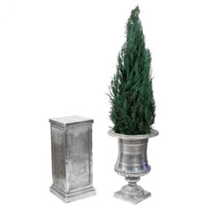 Silver Grand Pedestal and Urn