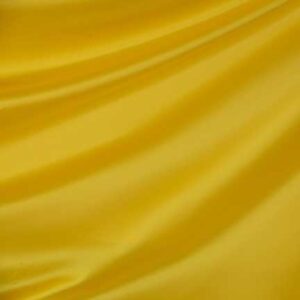 Runner, Tiffany Canary