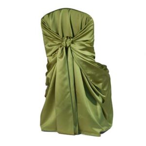 Chair Cover, Tiffany Kiwi Bag Style
