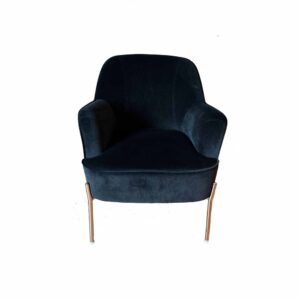 Furniture, Velvet Contemporary Accent Chair - Onyx