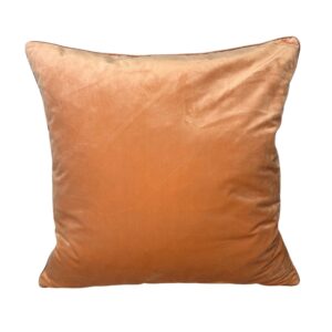 Pillow, Coral Velvet