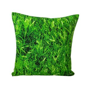 Pillow, Central Park