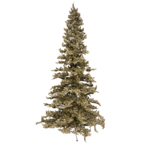 Tree- Champagne Tinsel